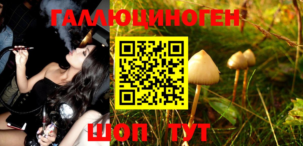 Галлюциногенные грибы MAGIC MUSHROOMS Ишим