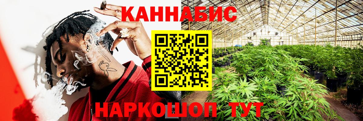 Бошки Шишки гибрид Ишим